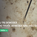 Điều trị demodex bằng thuốc demodex nào hiệu quả